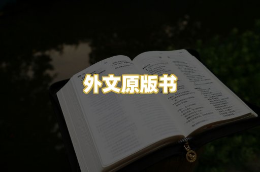 外文原版书