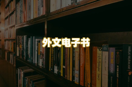 外文电子书